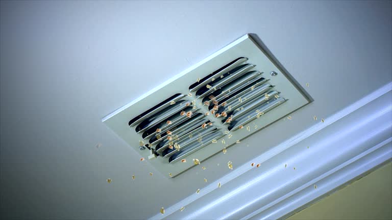 Best Affordable Duct Cleaning Services  in New California, OH