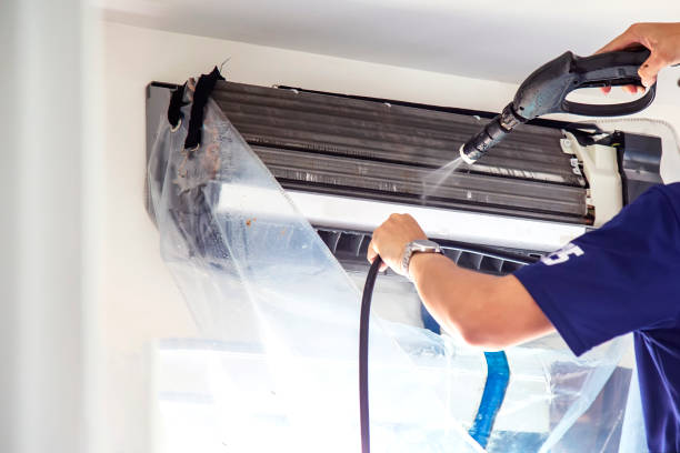Best Air Duct Mold Removal  in New California, OH