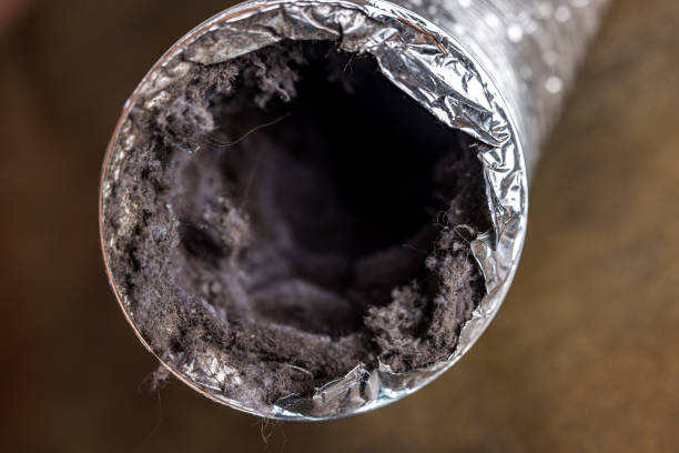 Best Local Air Duct Cleaning Services  in New California, OH